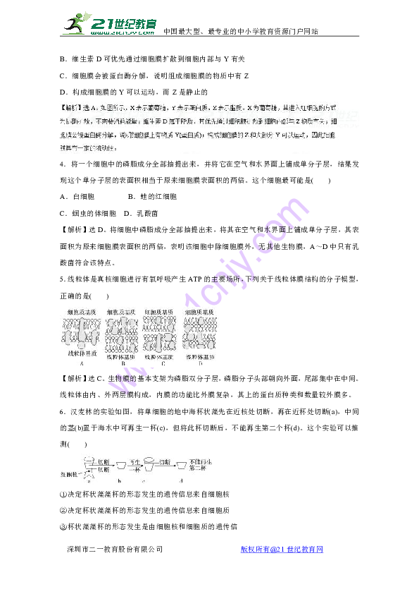 2024官方正版资料库免费汇编,精选资料解析大全高效版230.281