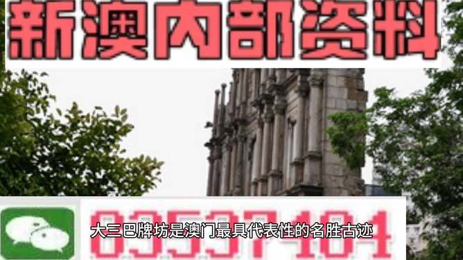 澳门最精准免费资料旅游团,文明解释解析