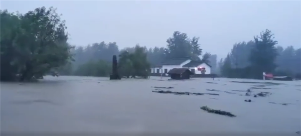 最新湖北暴雨视频，揭示暴雨背后的故事