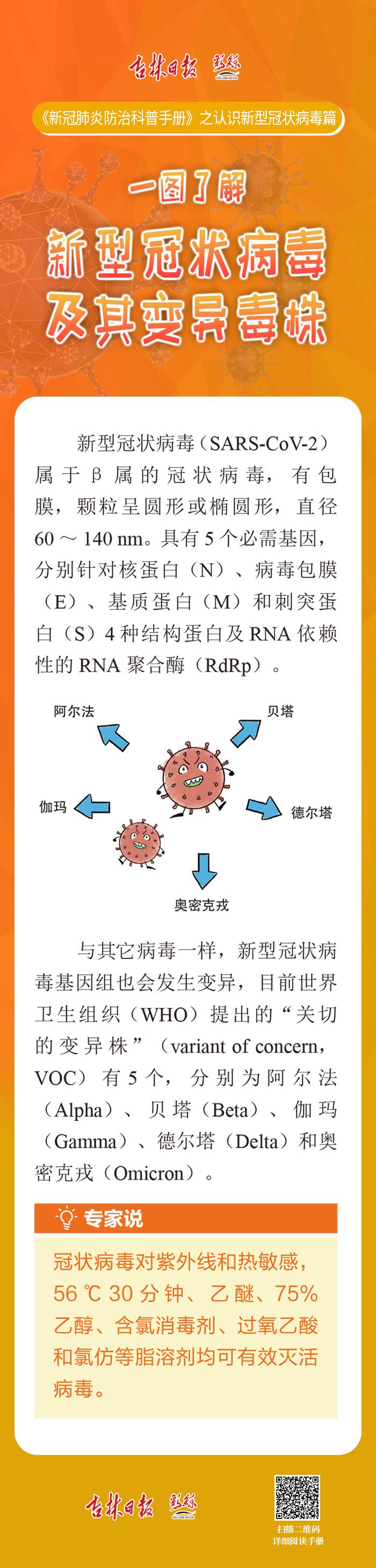 新型病毒变异最新进展，挑战与应对策略