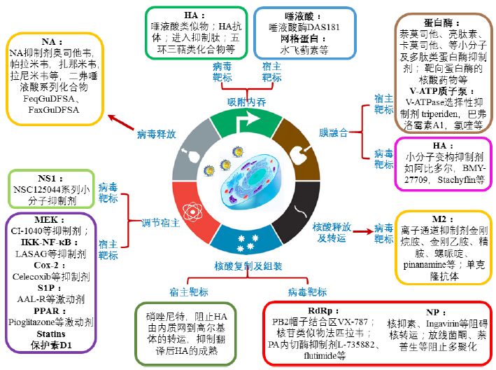 最新抗疫情药物的研究与应用